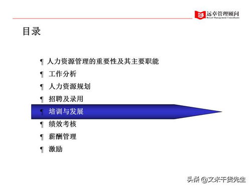 知名咨詢公司客戶案例 100頁人力資源管理的全面提升,系統完整
