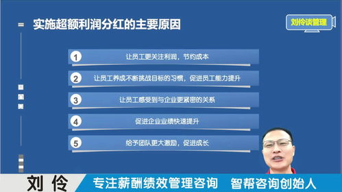 薪酬績效管理咨詢公司 第3集 股權激勵之超額利潤分紅