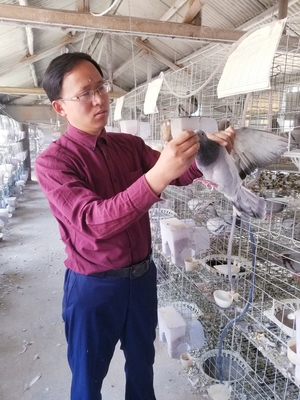 新江蘇·新農人 | 徐善金 小鴿子“孵”出大產業 生物飼料研發