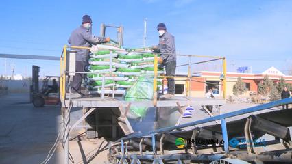 張掖市人民政府推動(dòng)生物飼料研發(fā)，助力農(nóng)業(yè)綠色發(fā)展