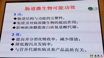 引領水產養殖新變革 麥康森院士論生物飼料研發的前沿探索