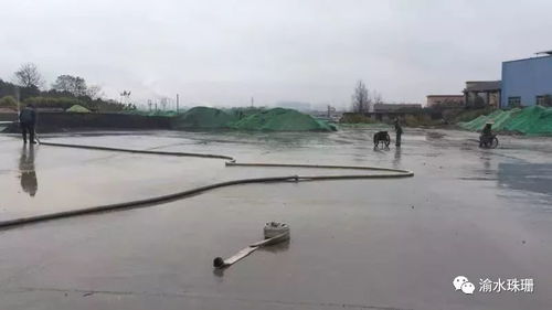 拆鍋爐、抑揚塵、禁焚燒 珠珊鎮大氣污染防治成效顯著，合同能源管理助力綠色發展