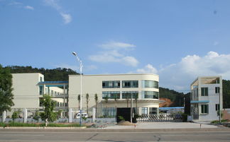 匠心獨運，木藝生輝 探訪高要市白土鎮潤和工藝品加工廠與鼎龍木業