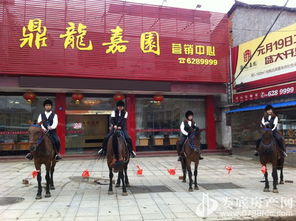 歡樂五一，來鼎龍嘉園免費騎馬玩！｜鼎龍木業(yè)邀您共度佳節(jié)